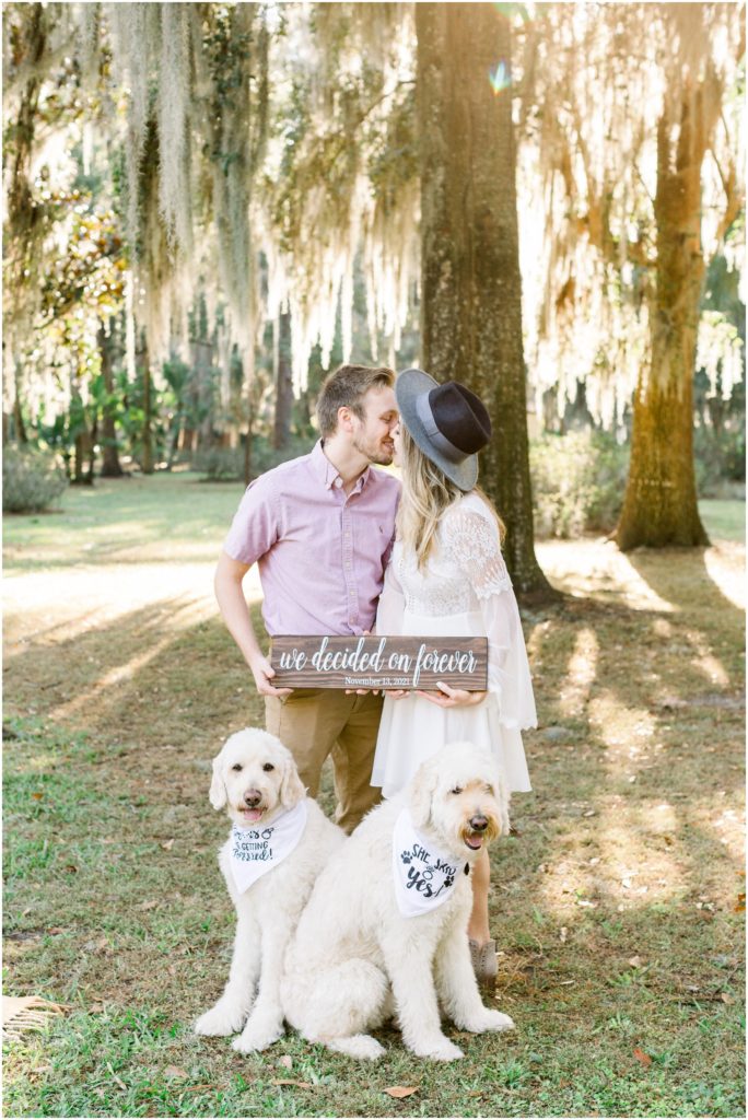 Engaged couple with dogs