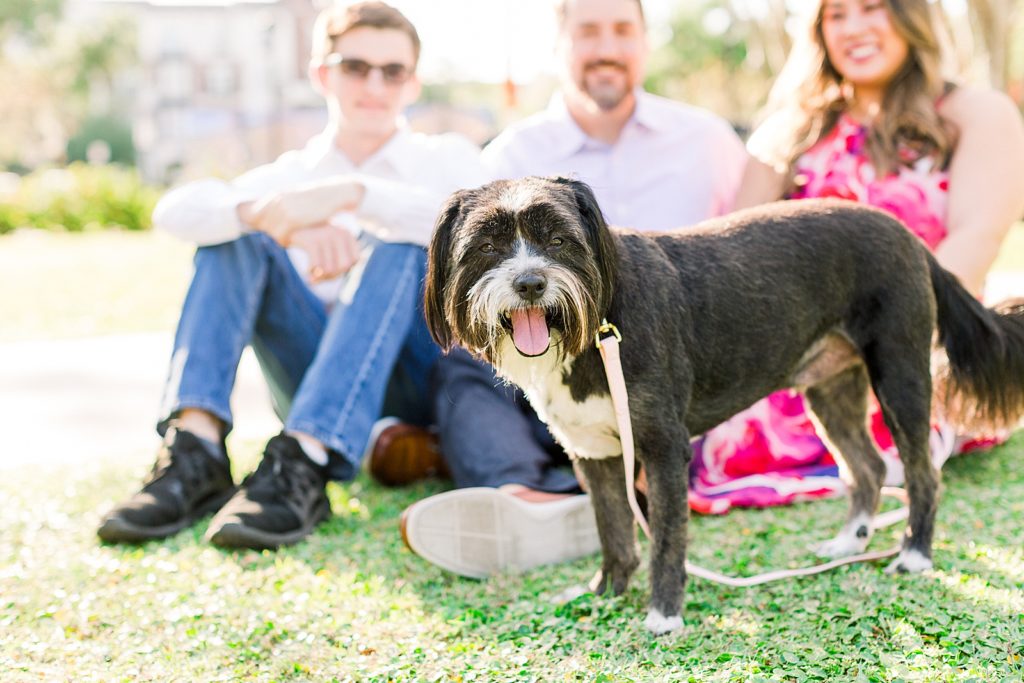 dog in engagement session