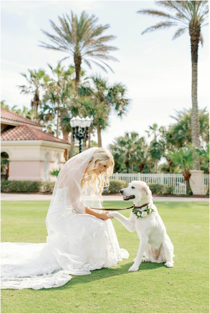 bride and her dog holding hands