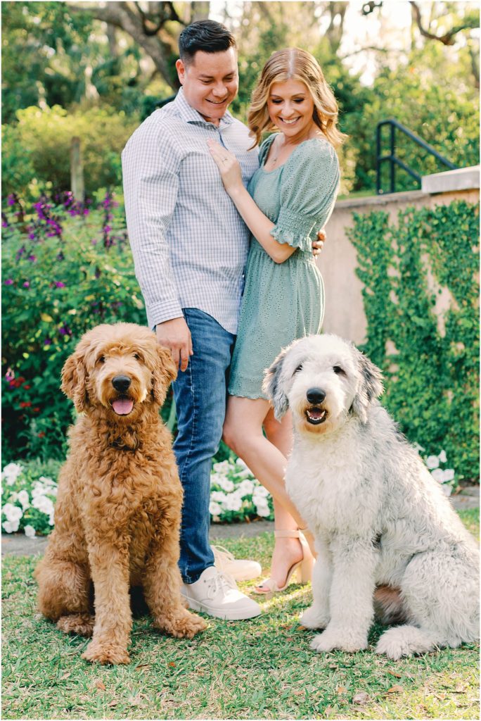 engagement session with golden doodles