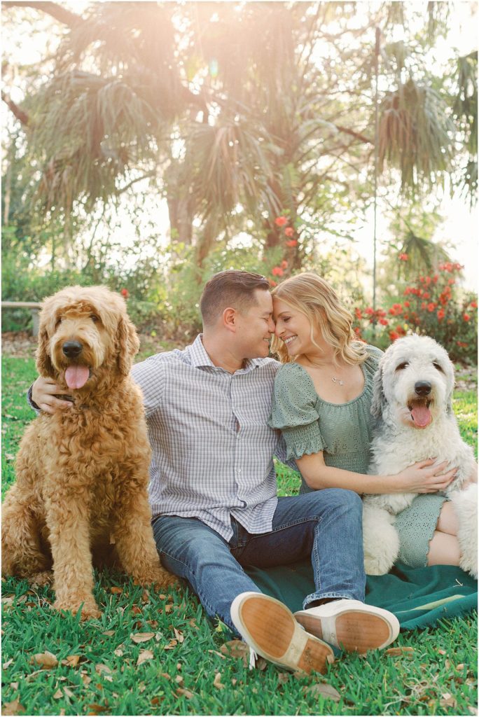 couple sitting with dogs